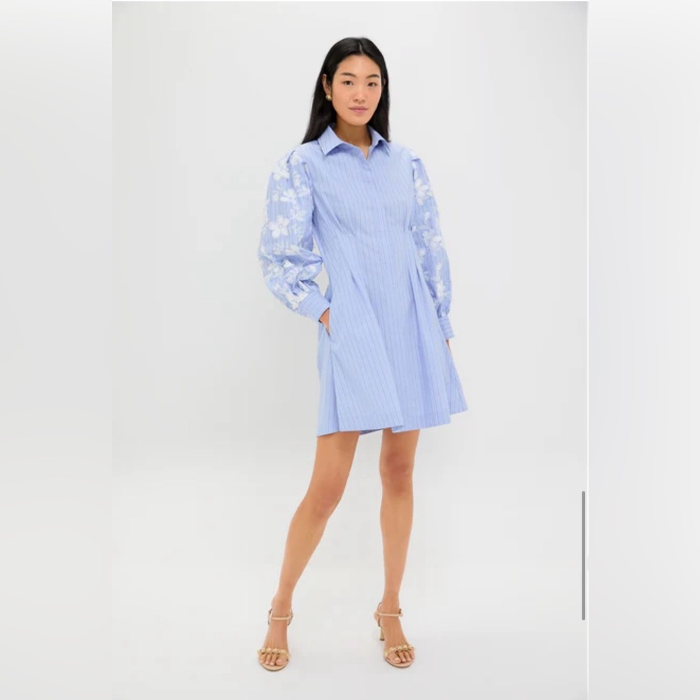 NWT Tuckernuck Blue Stripe Embroidery Mini Corinne Dress
